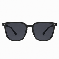 Glossy Black / Dark Gray Lens