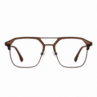 Transparent Brown Gunmetal