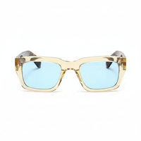 Light Brown Blue