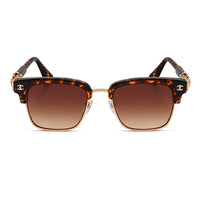 Tortoise / Double Brown
