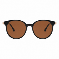Glossy Black Clear Brown