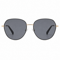 Gold / Dark Gray Lens