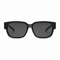 Glossy Black / Gray Lens