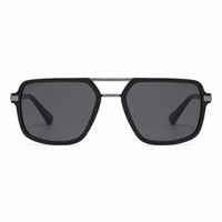 Matte Black / Dark Gray Lens