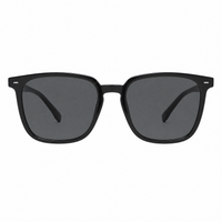 Matte Black / Dark Gray Lens