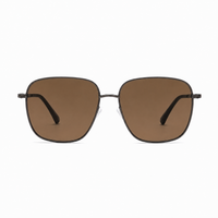 Silver / Brown Lens