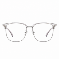 Silver Clear Gray