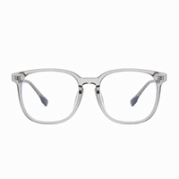 Clear Gray