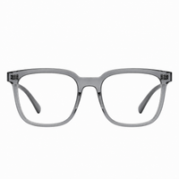 Clear Gray