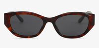 Tortoise