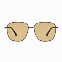 Gold / Yellow Lens