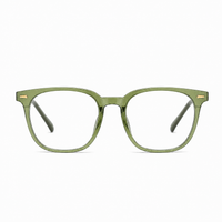 Clear Green Tortoise