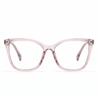 Light Translucent Pink Purple