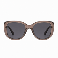 Clear Cool Brown / Gray Lens