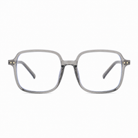 Clear Gray