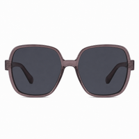 Clear Gray / Gray Lens
