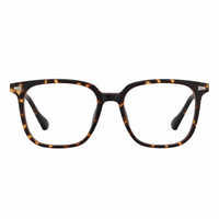 Tortoise