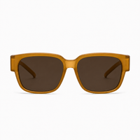 Matte Orange / Gray Lens