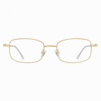 Gold Frame