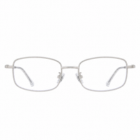 Silver Frame