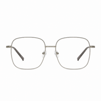 Silver Frame