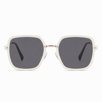 Ivory Gradient Gray